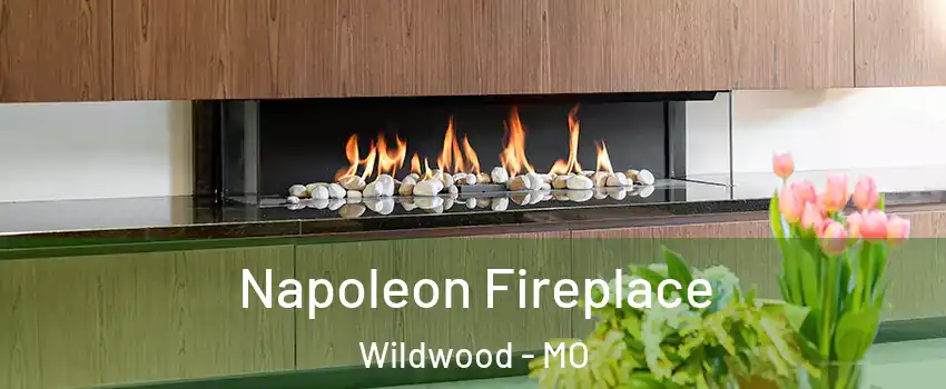  Napoleon Fireplace Wildwood - MO