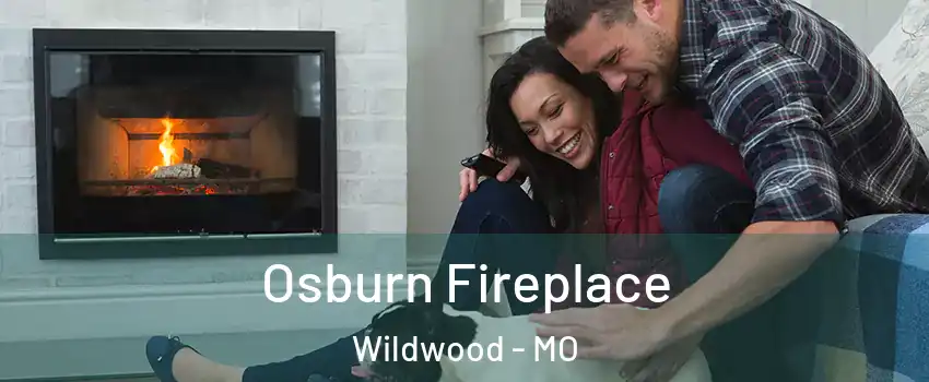  Osburn Fireplace Wildwood - MO